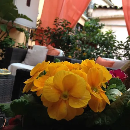 Al Vicoletto Agrigento